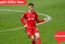 Angelo Stiller Nase