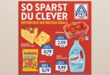 Aldi Nord Prospekt